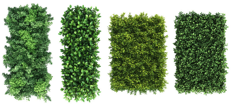 Top view of a hedge row Set isolated or on white background 3d render png. Architecture plan	