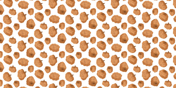 Seamless Pattern Tiger Nut Chufa Edible Tuber from Cyperus Plant