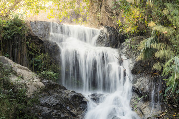 Obraz premium Serene waterfall cascade flowing over solid rock creating calm stream inside lush green forest bringing tranquil peaceful emotion to nature landscape under sunlight illuminating wild plant life