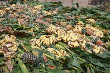 Obraz premium Joyful abundant pile of fresh tropical fruit featuring yellow banana and pineapple scattered among green leaf on ground for an inviting outdoor harvest festival or natural feed offering