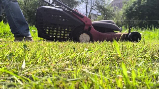 Gardener mowing the lawn. Landscape design. Green grass background