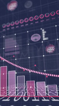 Vertical video: On update binary floor chart rising, bars growing, arrow descending showing decline