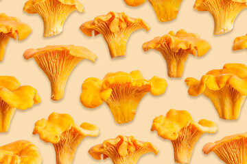 Fototapeta premium Close up mushroom Chanterelle still life, yellow orange color edible healthy fungus on beige background, minimal top view autumn seasonal eco product. Natural organic vegetable food repeat pattern.