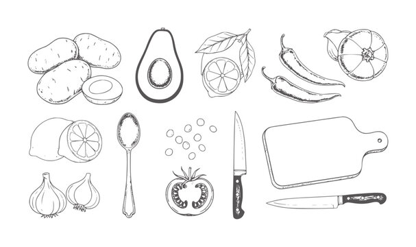 Hand drawn collection of food ingredients and kitchen utensils potato avocado lemon