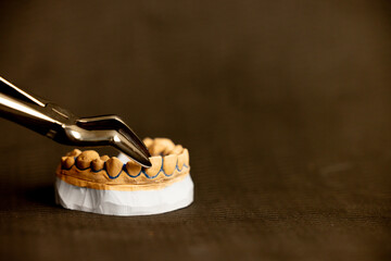 Plaster upper jaw model held by dental bayonet instrument on black background showing orthodontic handling precise placement and professional dental training setup © Anton