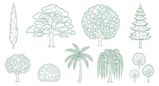 Home Garden Tree Top View Outline Vector Collection &ndash; Landscape Foliage Patterns for Architecture Plans Green Line Art