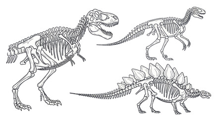 Collection of Dinosaur Skeletons: T-Rex, Iguanodon, and Stegosaurus © Ketik
