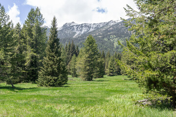Fototapeta premium Countryside and Woodland from the Taggart Lake Trail in Southern Grand Teton National Park, Wyoming, USA