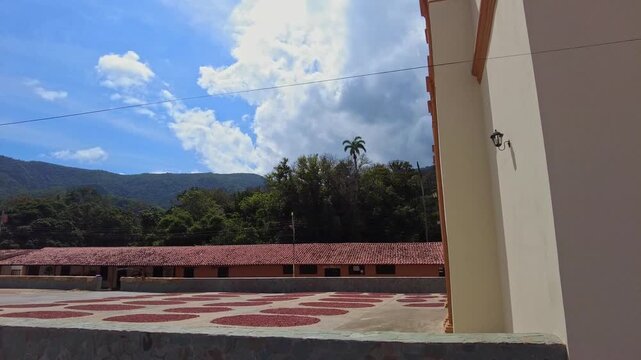 A panoramic view of rows of circles containing cacao beans drying during the traditional fermentation process in the main square of Chuao, with the Church of the Immaculate Conception
