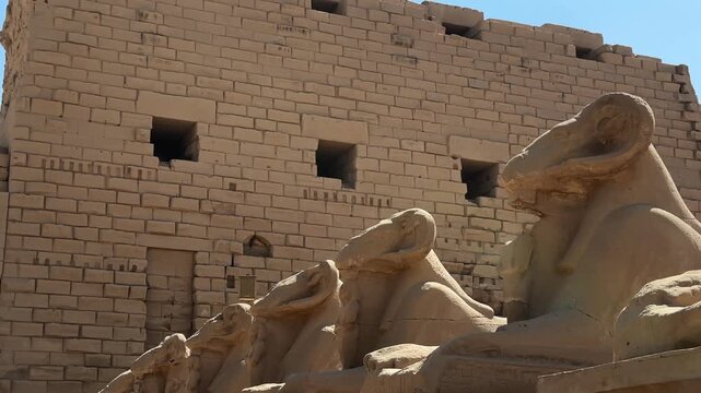 Detailed cinematic pan of the Criosphinxes (ram-headed sphinxes) lined up in the Karnak Temple complex in Luxor, Egypt
