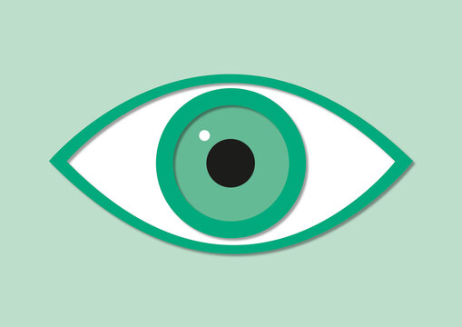 Eye, illustration