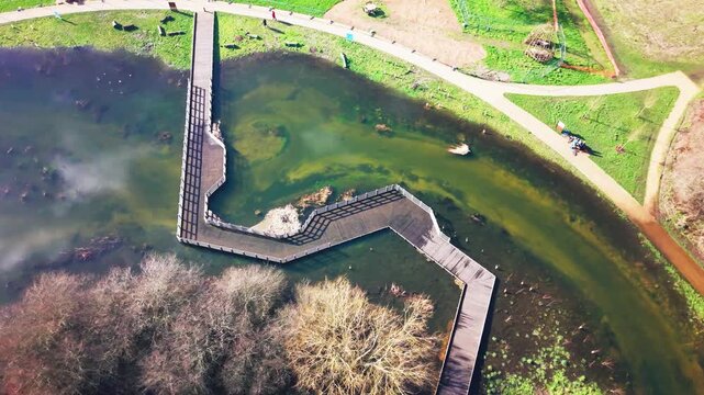 Drone aerial view of wooden boardwalk crossing wetlands along the River Avon near Salisbury in Wiltshire England showing river landscape and nature reserve area