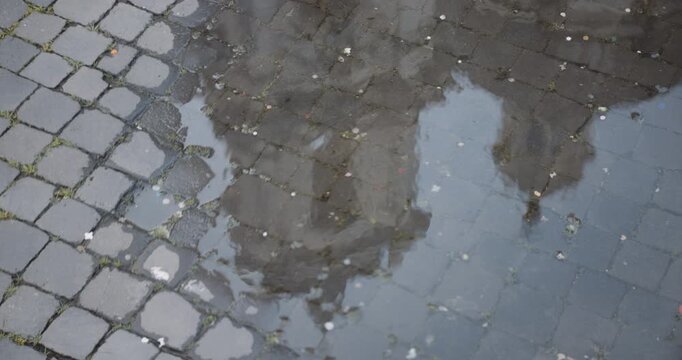 The bell tower of the Church of Sant'Agnese in Agone reflected in a puddle in Piazza Navona, Roma.