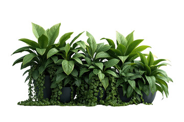 Naklejka premium Lush green potted indoor plants creating a natural decor element on transparent background for home or office