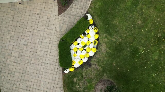 Overhead drone shot of a beautifully landscaped garden featuring yellow and white flowers, a green hedge, a stone paver walkway, and lush green lawn.