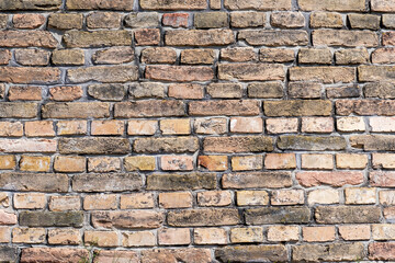 Fototapeta premium A timeless, weathered brick wall texture, showcasing rustic charm and durable masonry