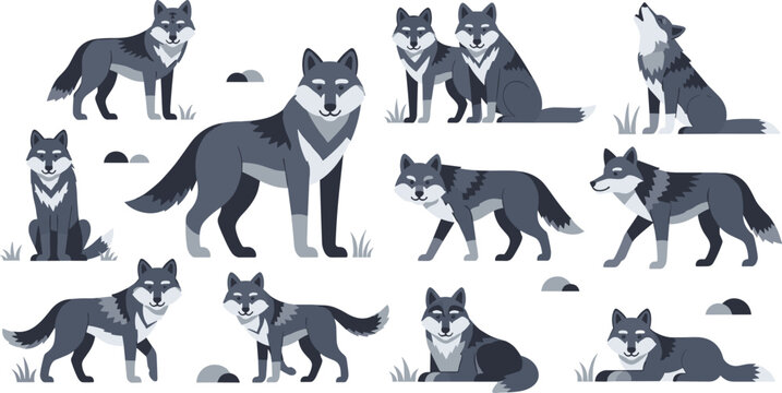 Wolf pack collection with wild animals in different poses flat vector illustration set