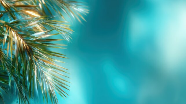Graceful palm leaves illuminated with sunlight against a serene, softly blurred background, evoking feelings of tranquility and paradise in nature.