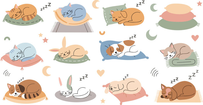 Cute sleeping pets collection with cats and dogs resting on pillows isolated on white background cartoon vector illustration set