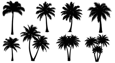 A collection of various palm tree silhouettes featuring different sizes and groupings for design © Mamun