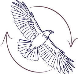 Naklejka premium Eagle flying in circular outline arrow