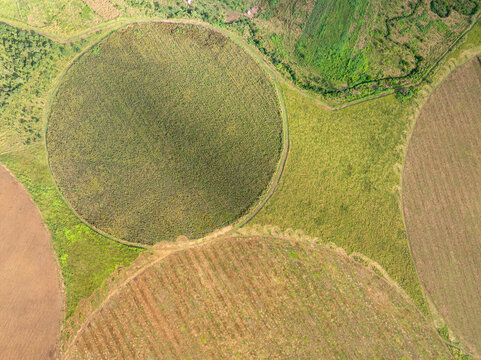 Aerial view of circular crop fields creating a geometric tapestry of green and brown, a testament to agricultural planning and land use, Chilanga, Lusaka Province, Zambia.
