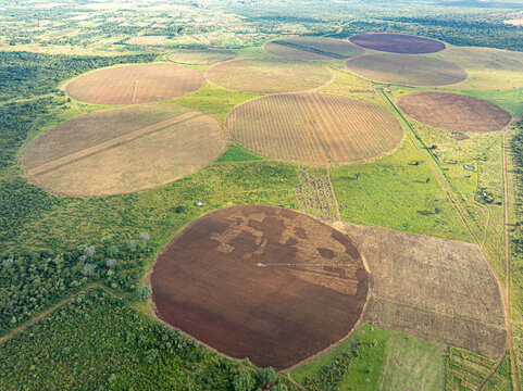Aerial view of circular fields etched into the landscape like crop circles, a testament to human cultivation amidst the Zambian greenery, Chilanga, Lusaka Province, Zambia.