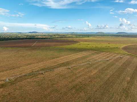 Aerial view of golden fields meeting the horizon under a vast sky, painted with strokes of blue and wisps of white, Chilanga, Lusaka Province, Zambia.