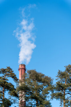 View of a tall brick chimney releasing a plume of white smoke against a backdrop of vibrant blue sky, framed by the dark green foliage, Kyiv, Kyiv city, Ukraine.