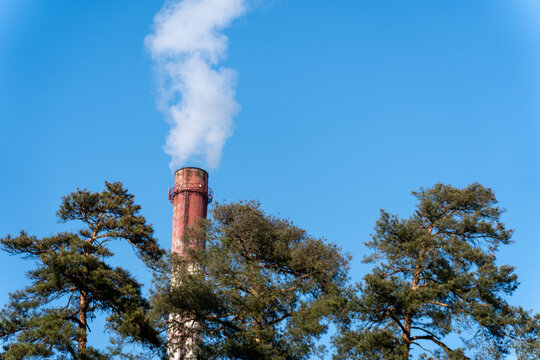 View of an industrial chimney releasing a plume of white smoke against a clear blue sky, framed by evergreen trees, Kyiv, Kyiv city, Ukraine.
