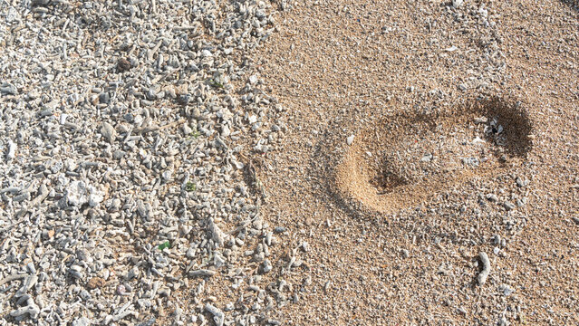 close up high angle view of a single barefoot footprint deeply impressed in coarse brown sand next to a field of bleached white coral debris on a beach