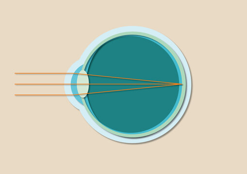 Normal vision, illustration