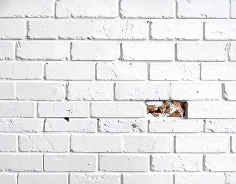 Close-up view of a white painted brick wall with one brick missing, showing the exposed interior