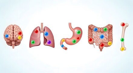 Obraz premium Medical infographic showing human organs with colorful virus or cancer cells. Concept of metastasis, infection spread, or multi-organ healthcare and diagnostics