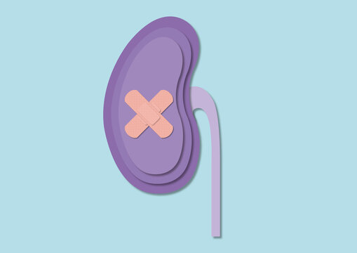 Kidney disease, conceptual illustration