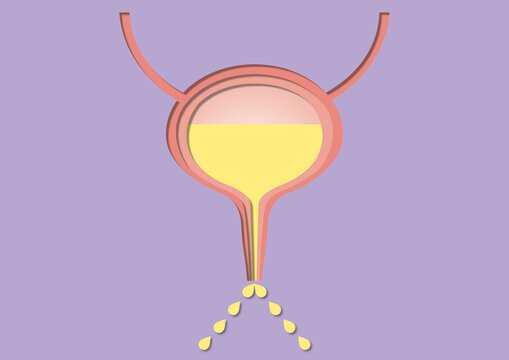 Urination, conceptual illustration