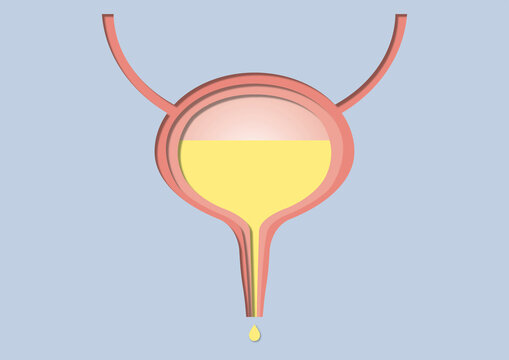 Urination, conceptual illustration