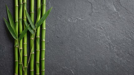 Fototapeta premium Green Bamboo Stalks on Dark Stone Background with Copy Space