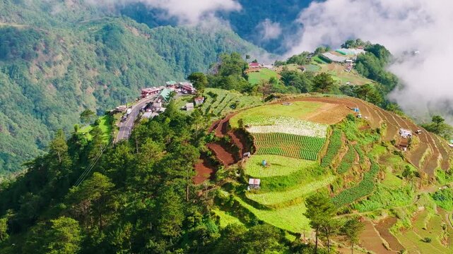 Farming terraces connect to mountain road, Atok Benguet, Halsema Highroad Point