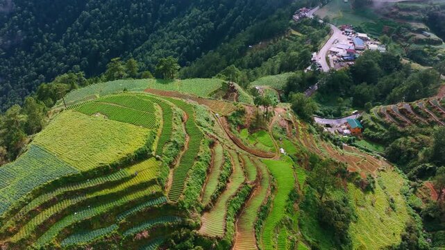 Highland farming patterns spread over misty Benguet mountains, Philippines