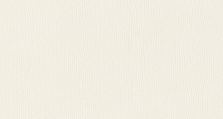 Fototapeta premium Paper white texture rough surface. Light blank page background for art and design projects. Abstract grain material for creative mockup, stationary template and decorative backdrop