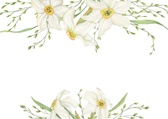 Watercolor white Daffodils, meadow grasses border on isolated background. Hand drawn spring blooming narcissus frame, empty space for text. Floral illustration for wedding greeting cards, invitations. © Masha_tolk_art