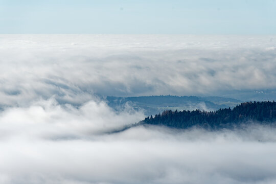 A misty forest landscape in Zwiesel, Bavaria, Germany at dusk.