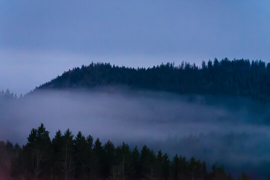 A misty forest landscape in Zwiesel, Bavaria, Germany at dusk.
