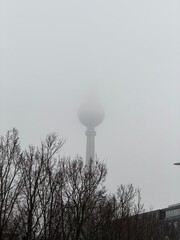 Berlin, Germany, Fernsehturm, Berlin TV Tower, TV tower, landmark, fog, mist, foggy, dense fog, minimalism, moody, atmosphere, atmospheric, winter, trees, bare trees, silhouette, urban, city, skyline, © Viacheslav