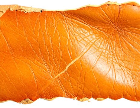 Close-up of textured, tanned animal hide, showing a torn edge and intricate surface patterns in shades of brown