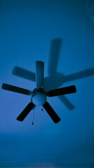Ceiling fan with its shadow.
