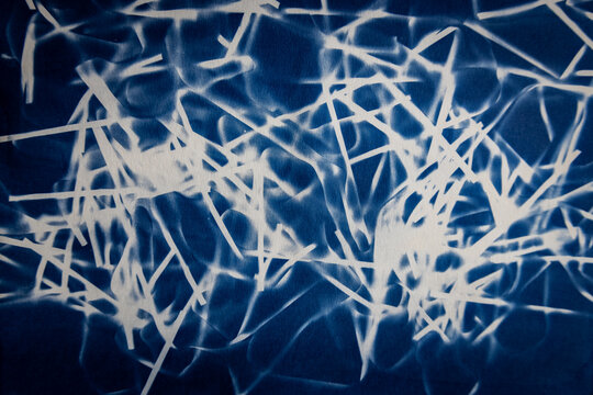 Imagen de cianotipia hecha en papel de acuarela de una composici&oacute;n de plumas