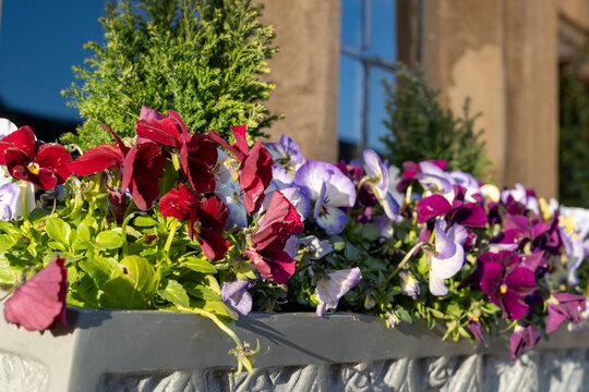 Flower boxes outside a hotel in a cotswolds village