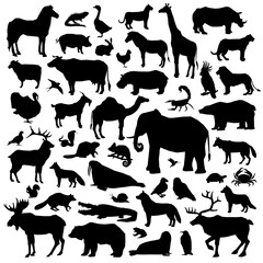 Fototapeta premium Animals Suilhouette Big Set